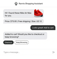 Ravvio AI agent conversation